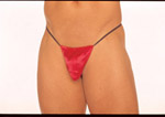 Pouch g string.